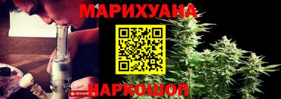 прущие грибы Шелехов