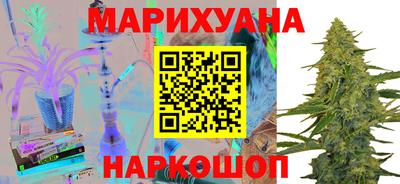 прущие грибы Шелехов