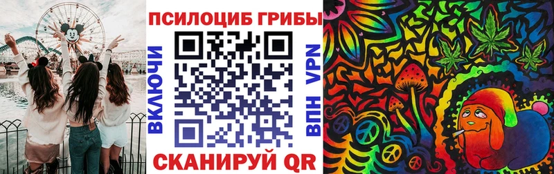 кракен как зайти  наркошоп  Асино  Галлюциногенные грибы прущие грибы 