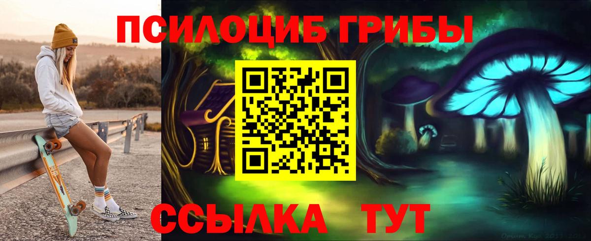 Псилоцибиновые грибы GOLDEN TEACHER Асино