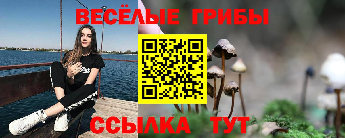 Галлюциногенные грибы мицелий  Вход с VPN  Галлюциногенные грибы Cubensis  Асино 